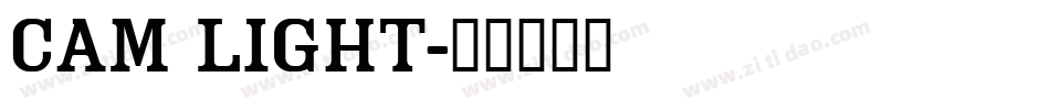 Cam Light字体转换